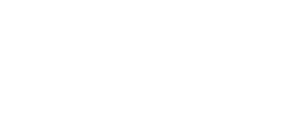 SKIDAY